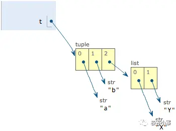 2449059-ff950bedfdfd8a69