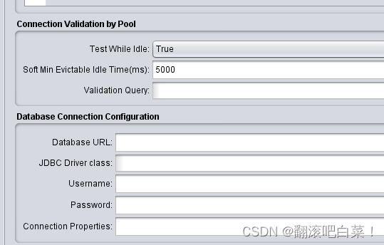 JDBC Connection Configuration 对应内容及功能介绍-CSDN博客