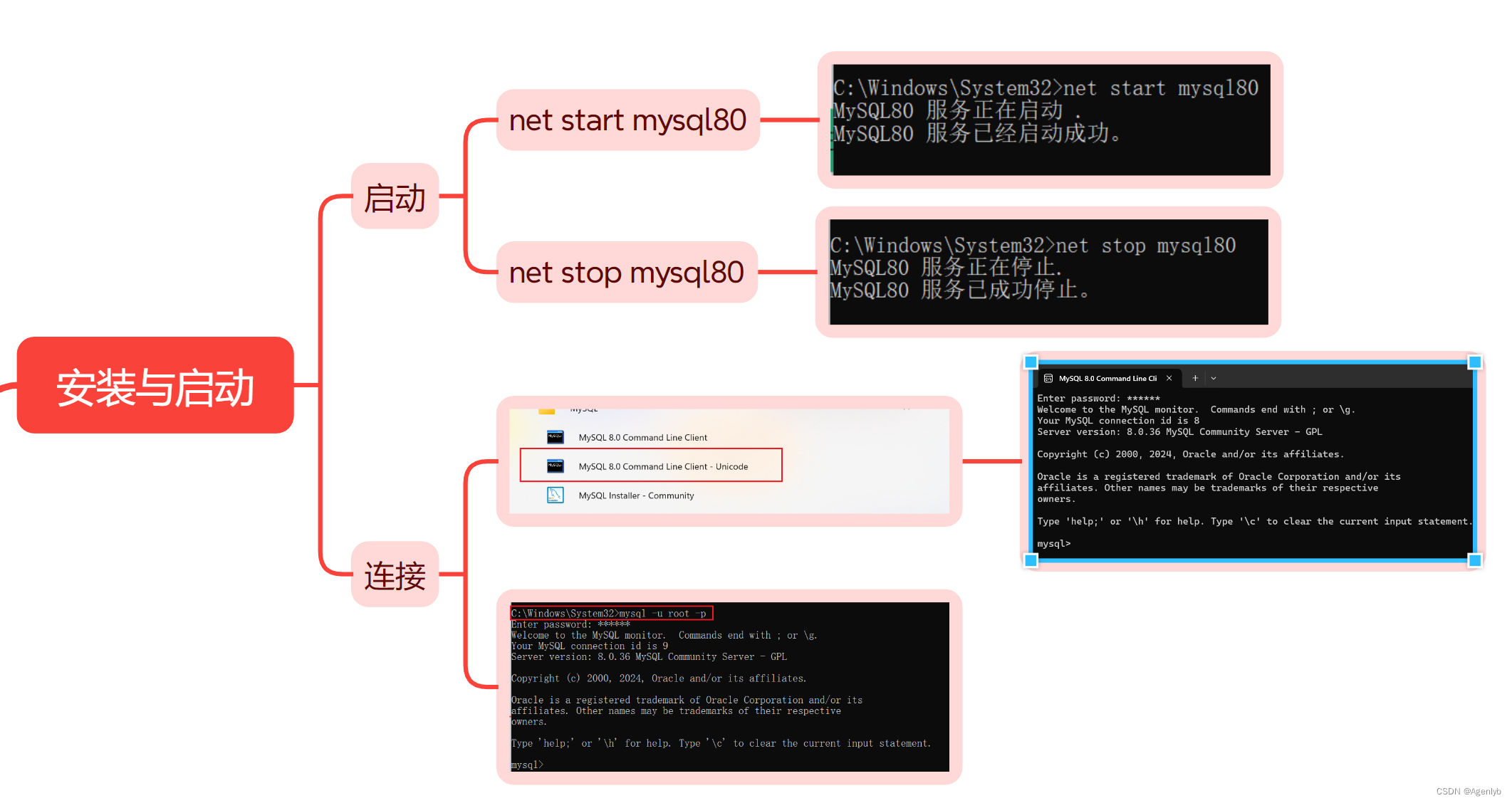 IT技术概览:安装、启动与SQL语言(DDL,DML,DCL)详解-CSDN博客