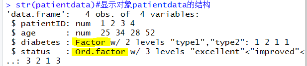 结果-因子&有序因子