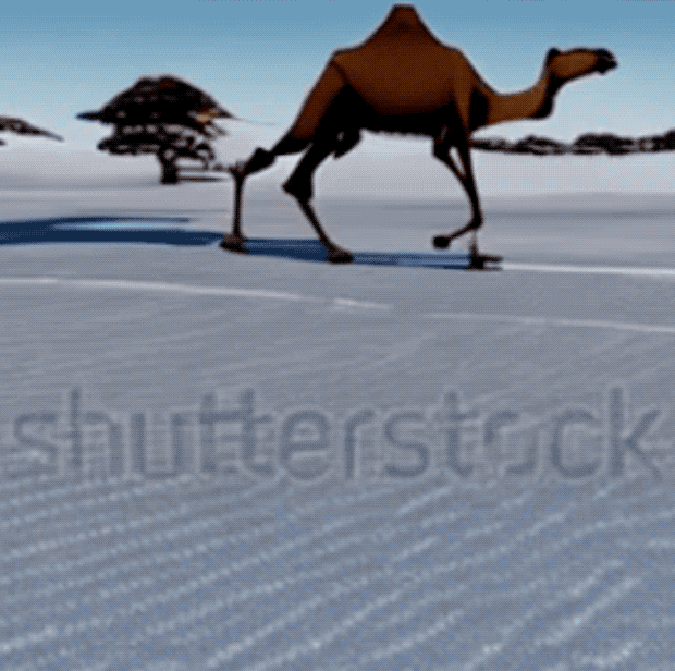 172443da028cc401bc97ea2d05c468f5.gif
