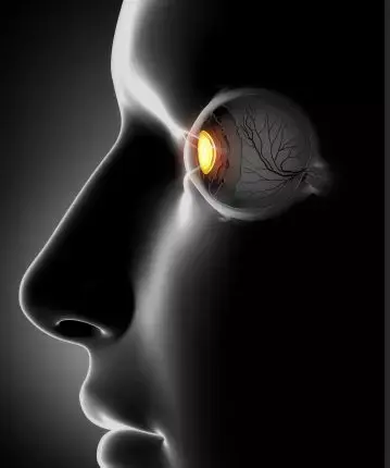2530112-cf5d769d2dc1ffeb.png