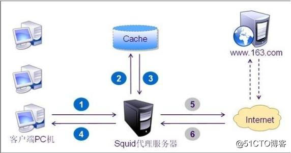 Squid反向代理