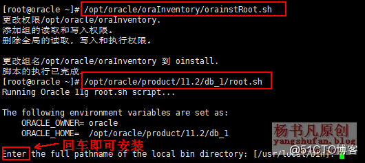 杨书凡03.png