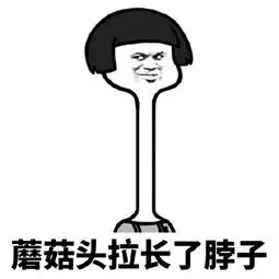 2530112-b0abf4a658eb60ef