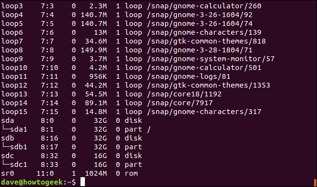 Output from lsblk in a terminal window