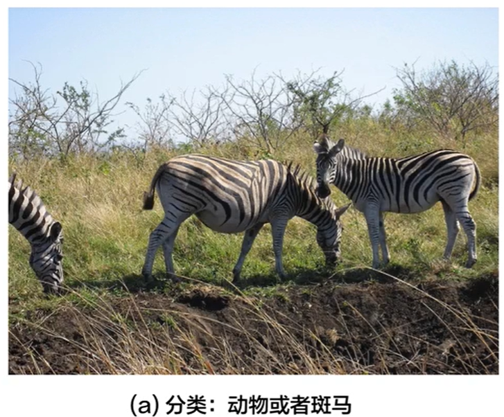 image-20211115211611566