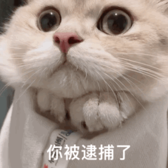 8f0f48abfd7fb893333766d154f9ae9d.gif