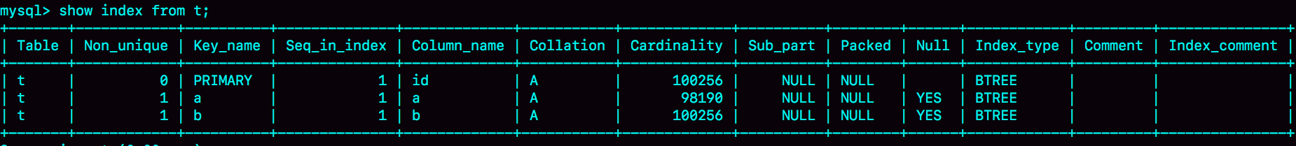 表t的show index 结果