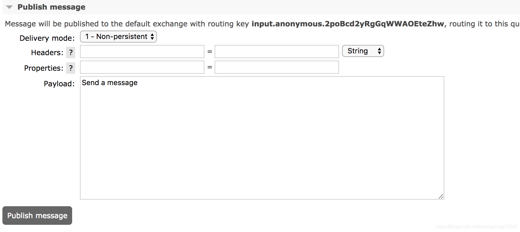 RabbitMQ publish message