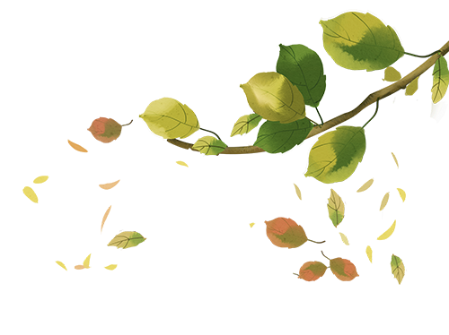 38d5cfdbf9539666c2616a6b09fe6bfe.png