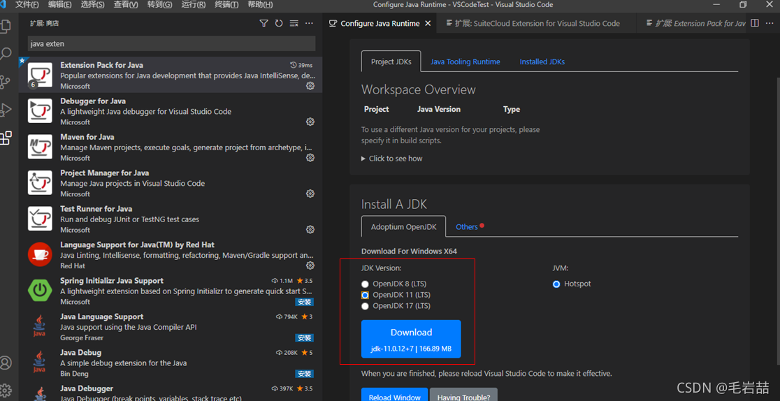 NetSuite ByeBye Eclipse，Hello VS Code_suitecloud extension for visual ...