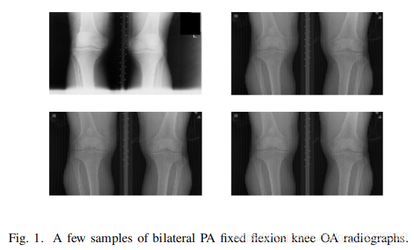 Fig.1