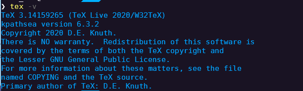 tex -v