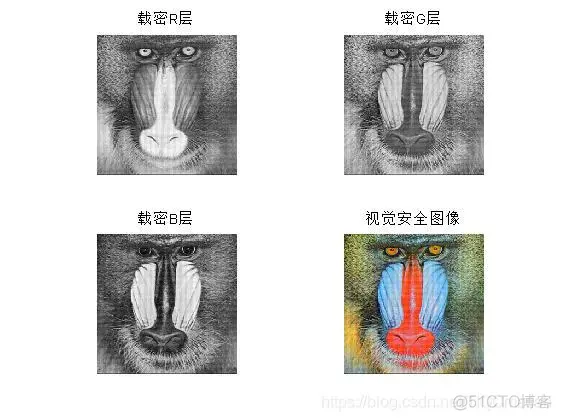 【图像加密】基于行列像素置乱+DWT小波变换图像隐藏加密matlab源码_matlab源码_05