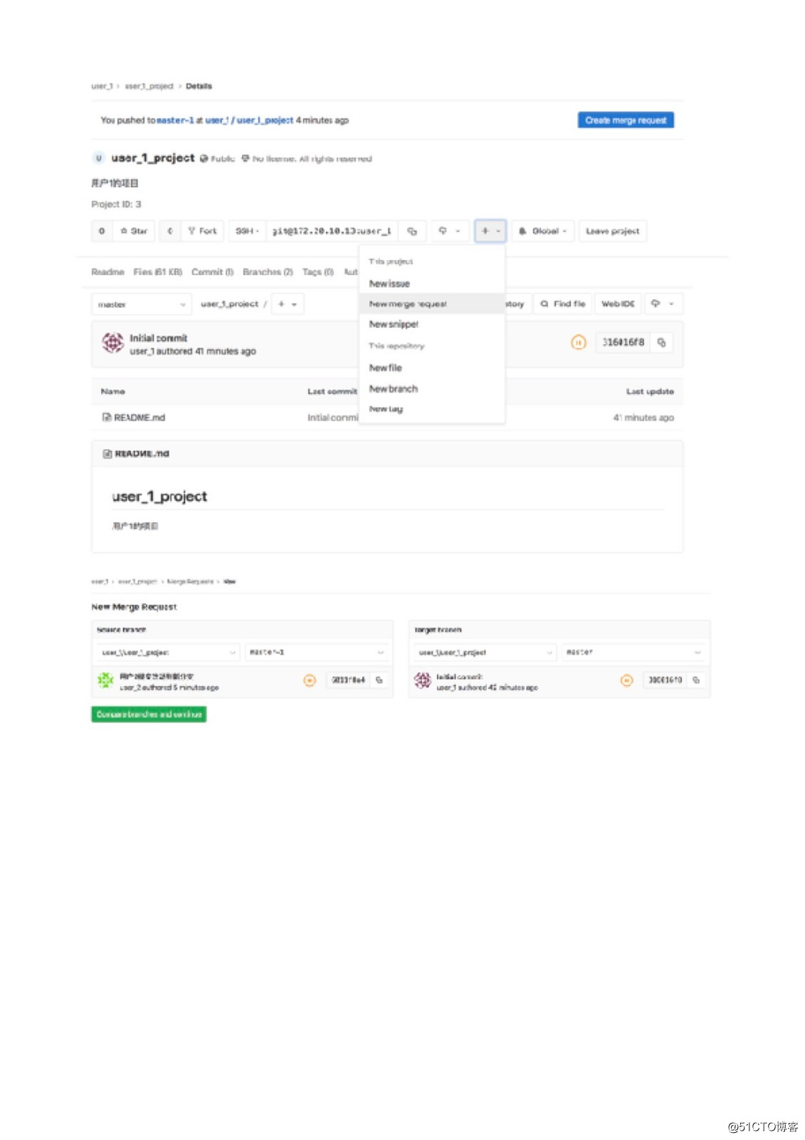 gitlab用法