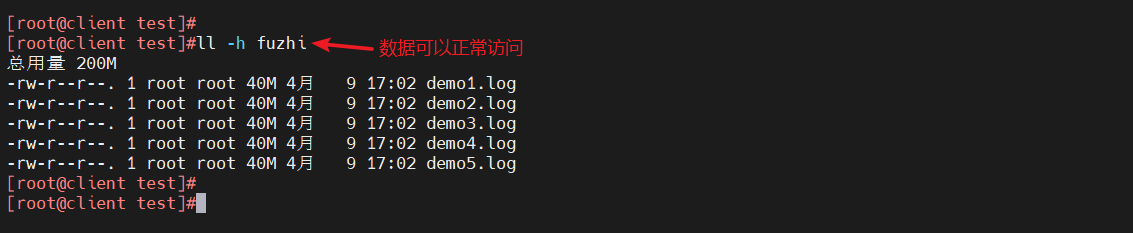 image-20240409174738068