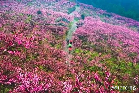 不容错过的优派upay