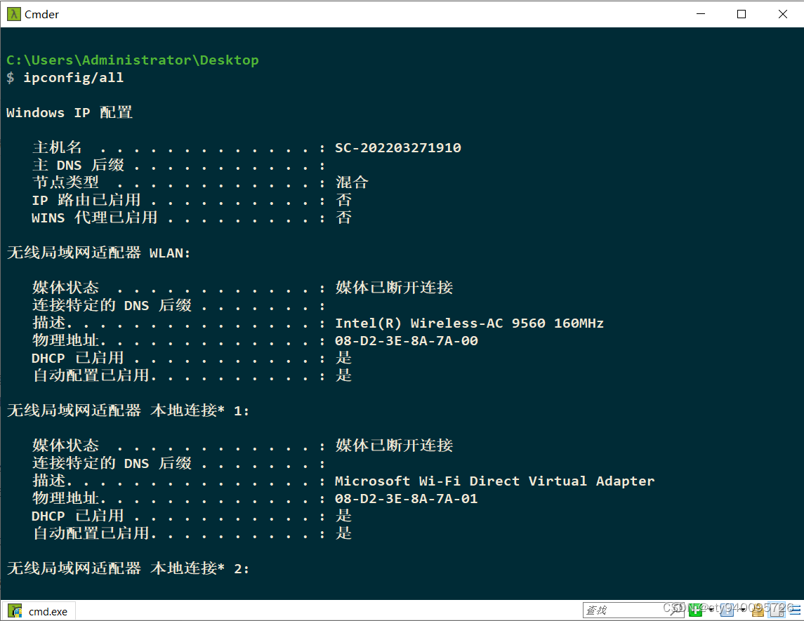 在这里插入图片描述