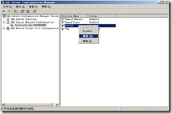 clip_image028