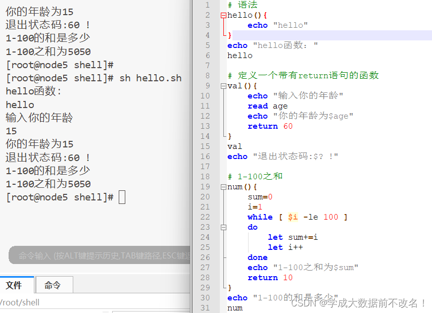 Shell基础命令及语法_shell命令-CSDN博客