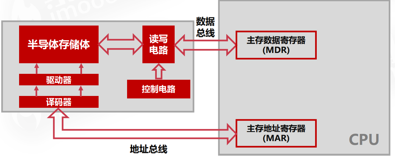 image-20220325202829504