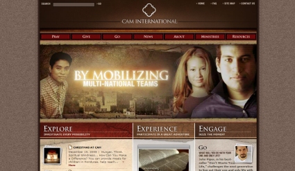 Non-Proft Websites