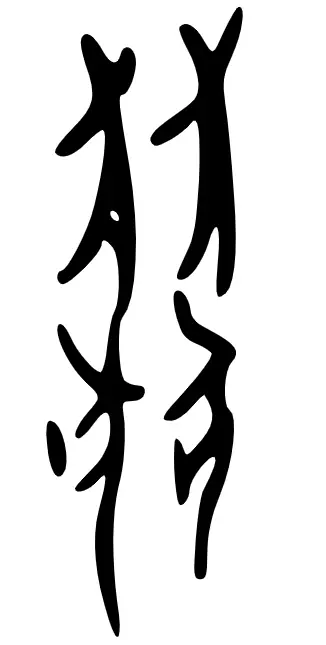 丽