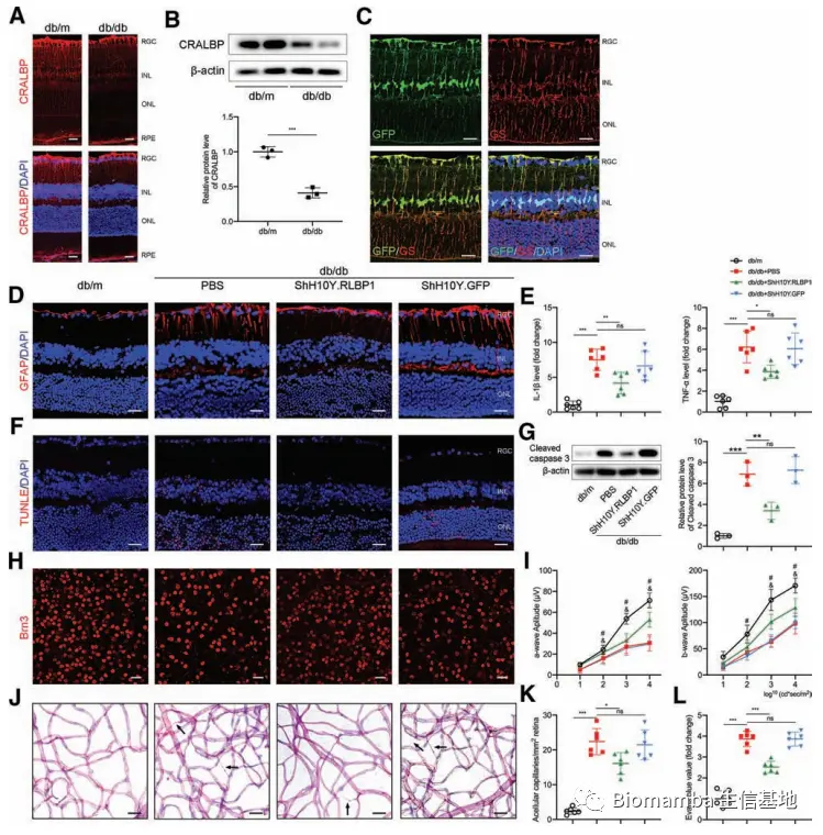 酸了，六个样本的scRNA-Seq+差异分析=9分文章_多样本scrna分析-CSDN博客