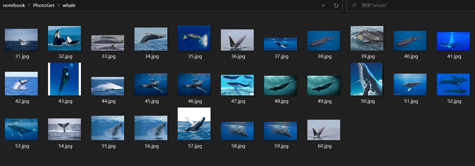 image-20220120191009971