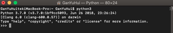 python3版本启动