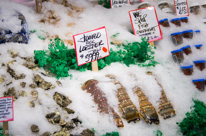 亲民地理-第50期-在美国逛农贸市场-西雅图派克市场 亲民地理-第50期-在美国逛农贸市场-西雅图派克市场