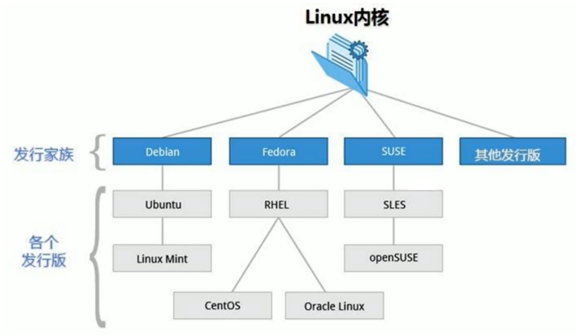 image-20220407091615647