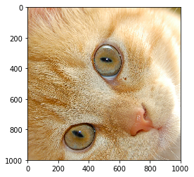 img_f7867afdbf88199c9d0310de91c415d5.png