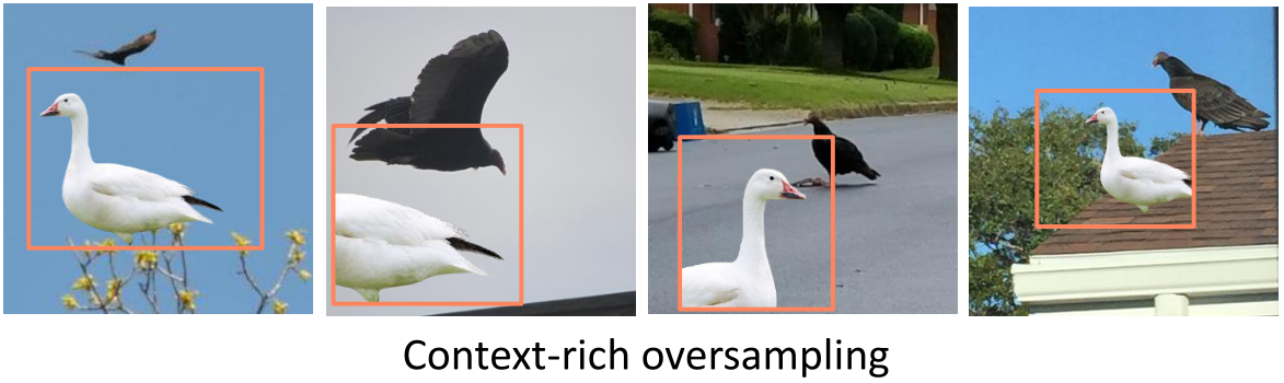 image-20220928083044214