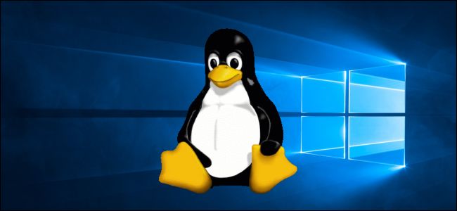 Linux's Tux mascot on a Windows 10 wallpaper