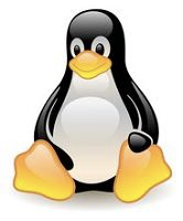 linux帅照