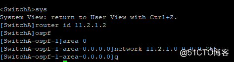 OSPF实训案例配置（二）