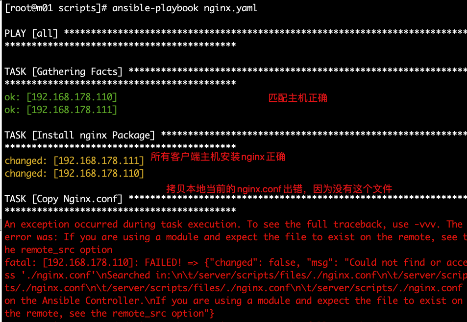 image-20200318104030016