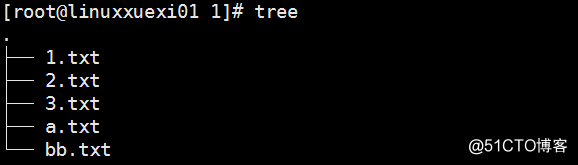 Linux系统 shell基础（一）