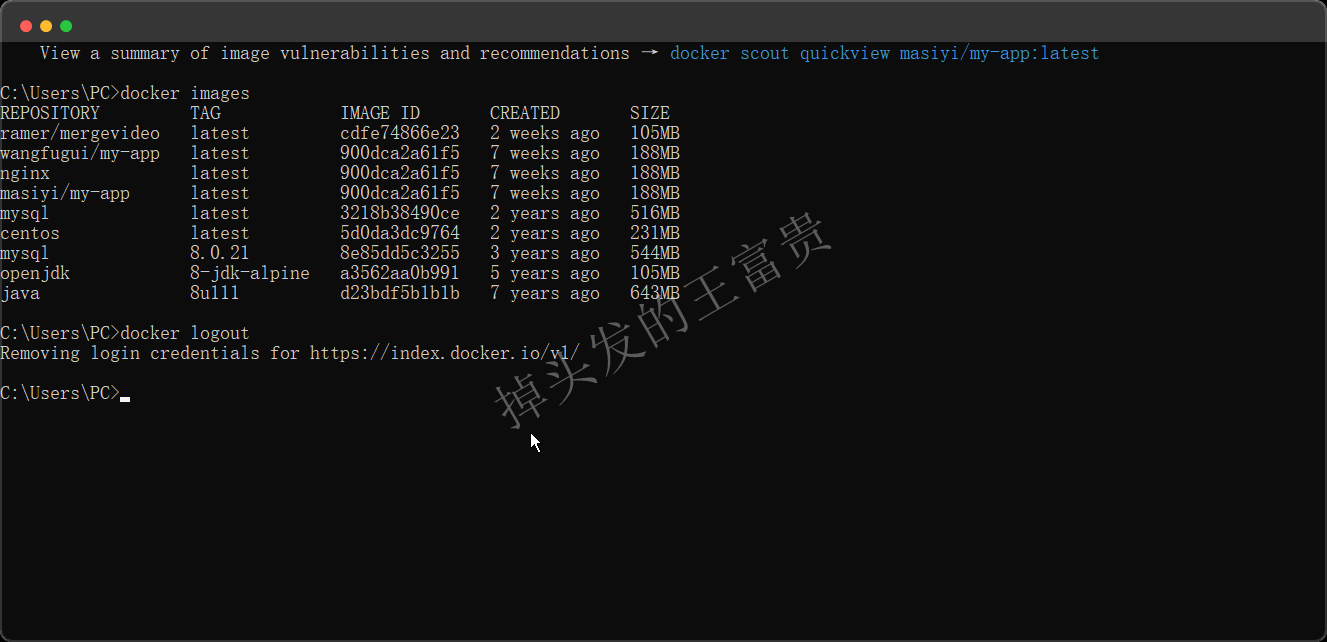 image-20240815201842479