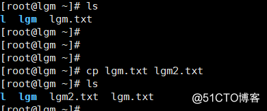 Linux进阶第三天