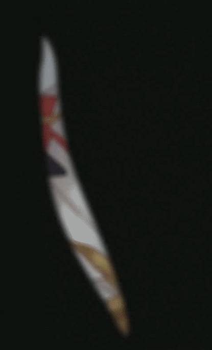 dd81d1734b8888b9fc7ac55d4946c229.gif