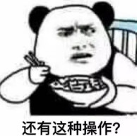 鹦鹉用 Echo 购物成功？浙大海豚攻击不服