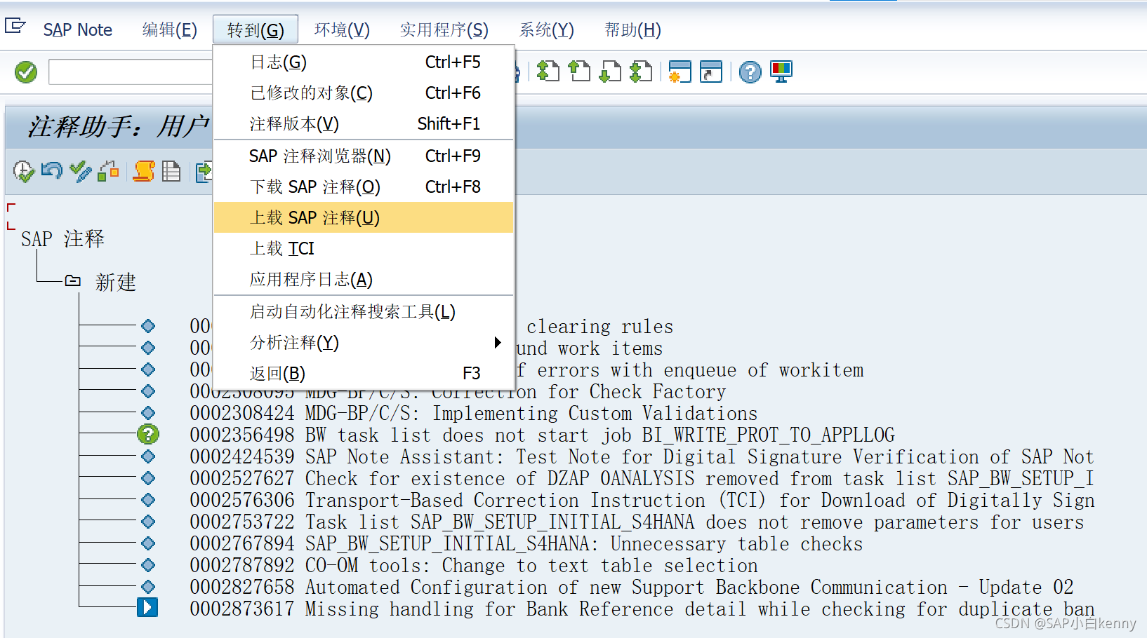 Sap Notepad SAP 如何打Note_sap notes-CSDN博客