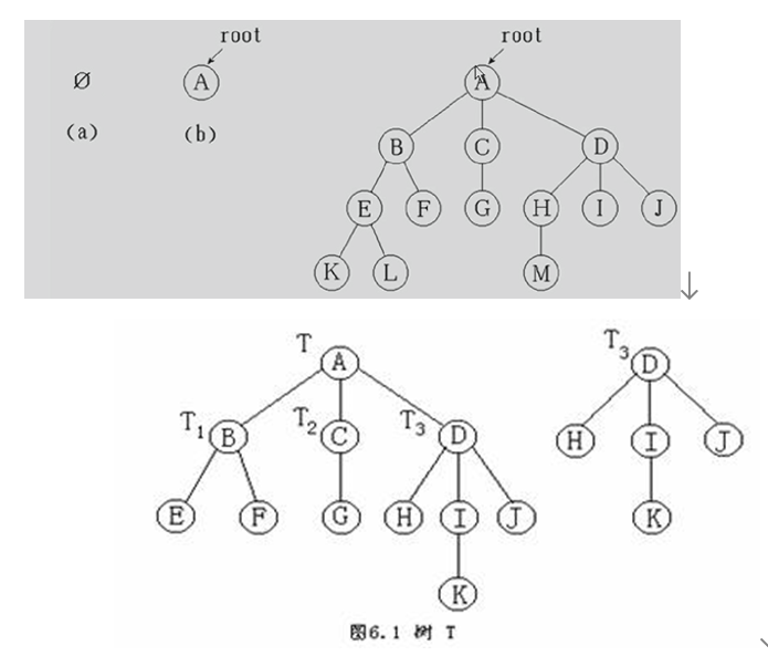 树(tree)_树形结构 社会组织-CSDN博客
