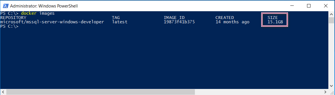 Verify docker images in registry