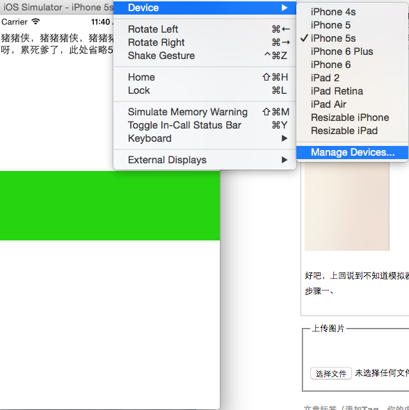 Xcode和模拟器的清除缓存