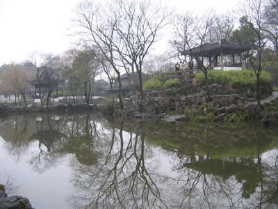 IMG_00193.gif