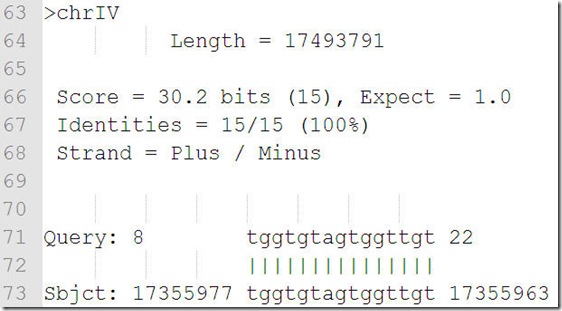 megaBlast_output_2
